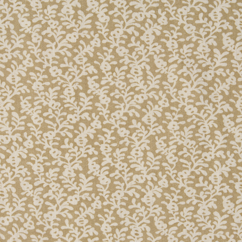 Coral Reef