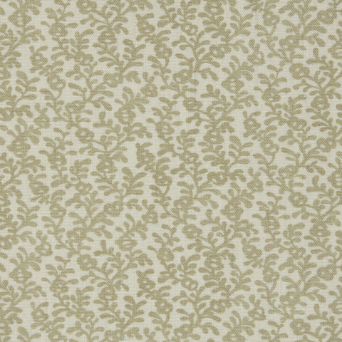 Coral Reef