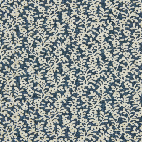 Coral Reef