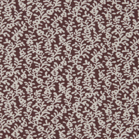 Coral Reef