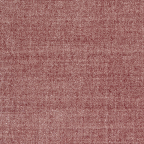 Spencer Velvet