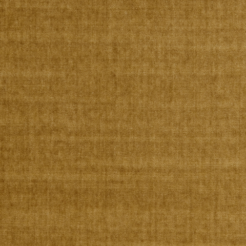 Spencer Velvet