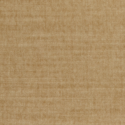 Spencer Velvet