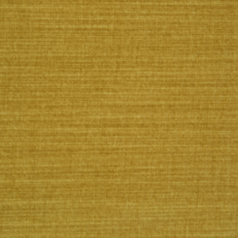 Spencer Velvet