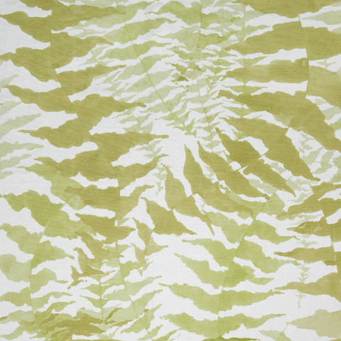 Fern - Limited Stock 