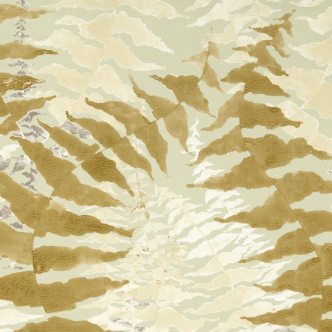Fern - Limited Stock 