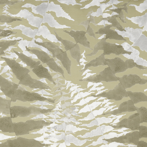 Fern