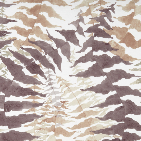 Fern - Limited Stock 