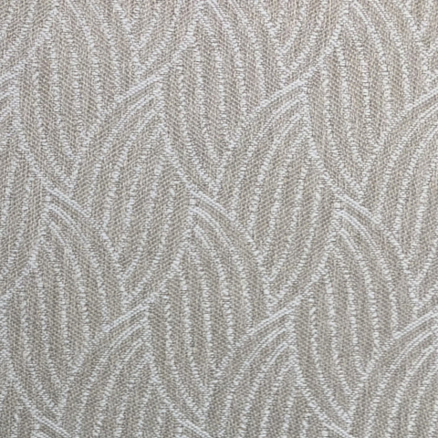 Palm Leaf