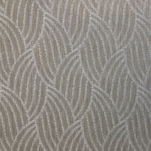 Palm Leaf
