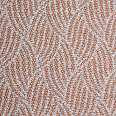 Palm Leaf