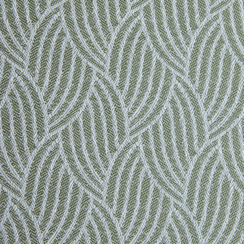 Palm Leaf