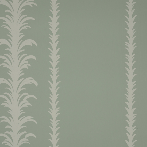 Palm Stripe