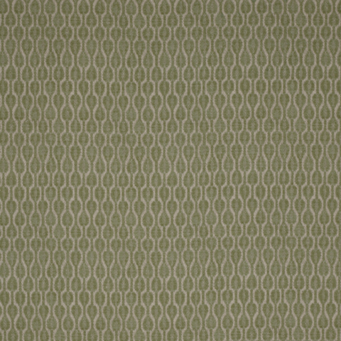Acacia