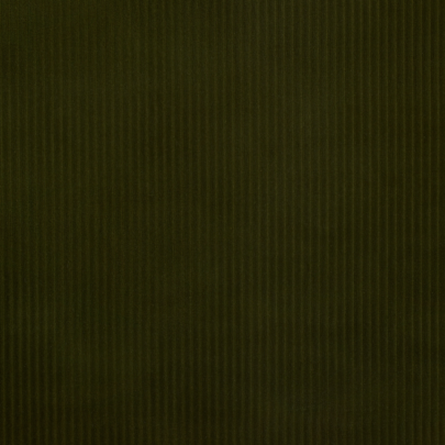 Angelica 
