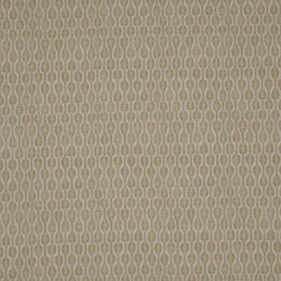 Acacia