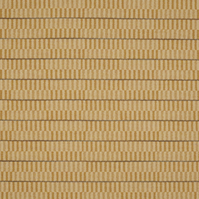 Maize  