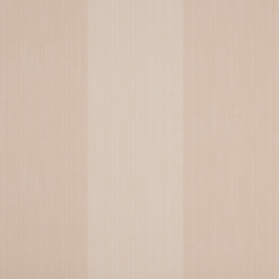 Spencer Stripe