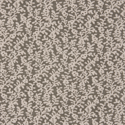 Coral Reef