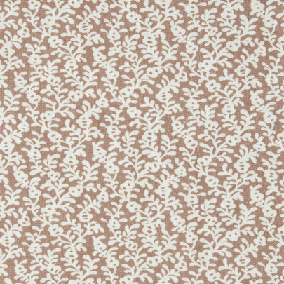 Coral Reef