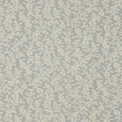 Coral Reef