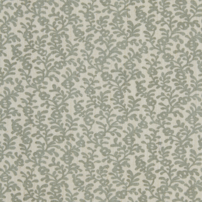 Coral Reef