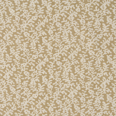 Coral Reef