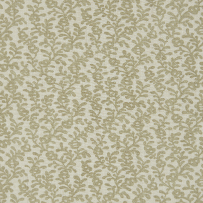 Coral Reef