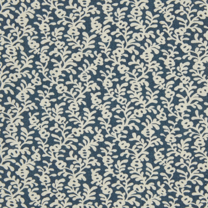 Coral Reef