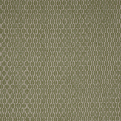 Acacia