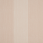 Spencer Stripe