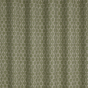 Acacia