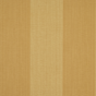 Spencer Stripe