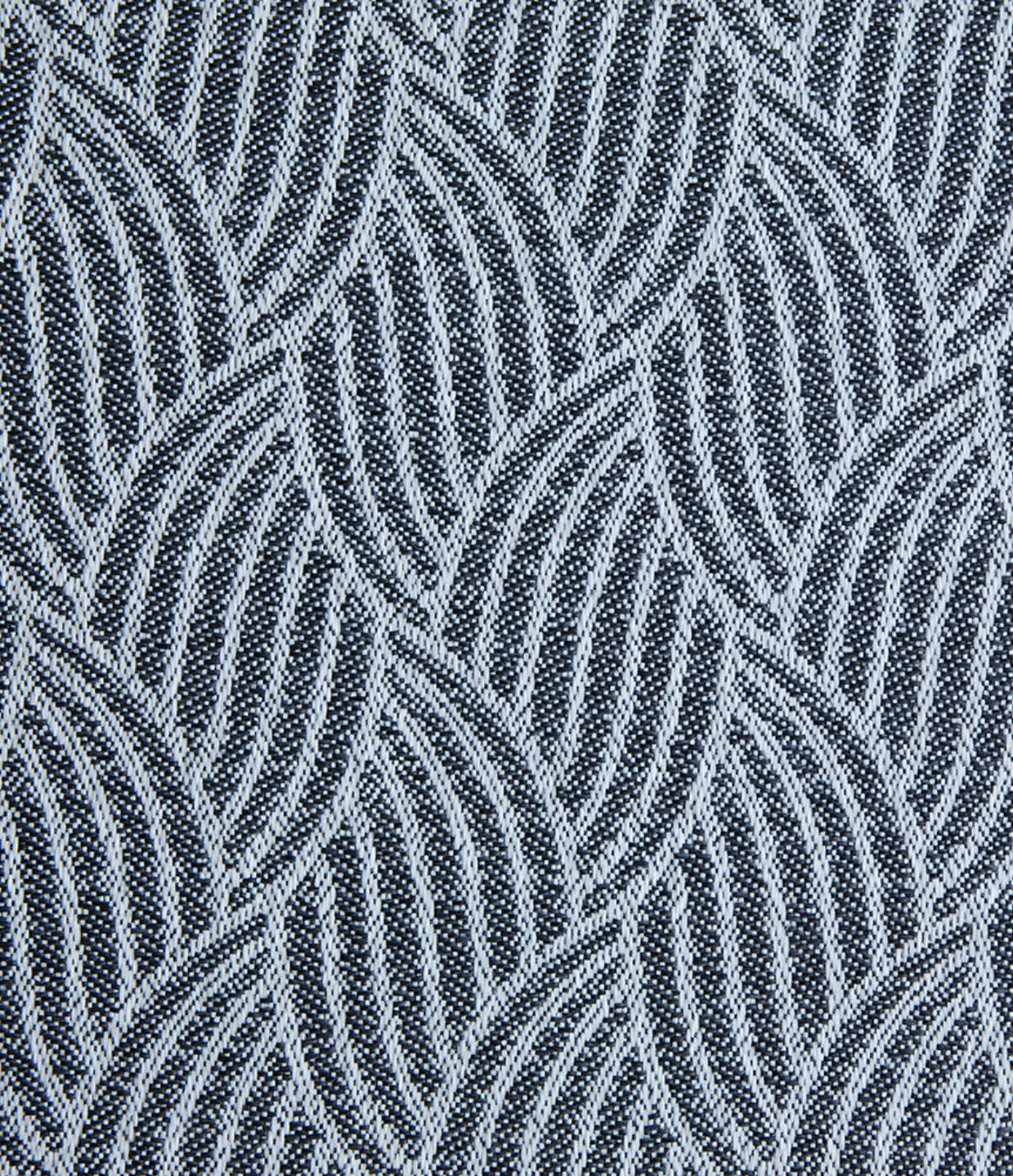 Palm Leaf